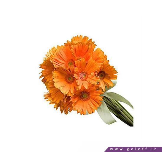 گل فروشی آنلاین - دسته گل ژربرا گاسپار - Gaspar | گل آف